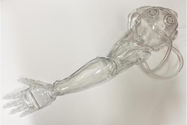 Visible as Empowered speculative prosthetic model
